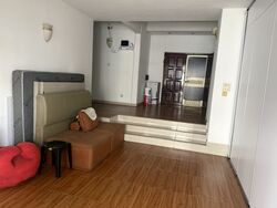 Tan Tong Meng Tower (D11), Apartment #621745481
